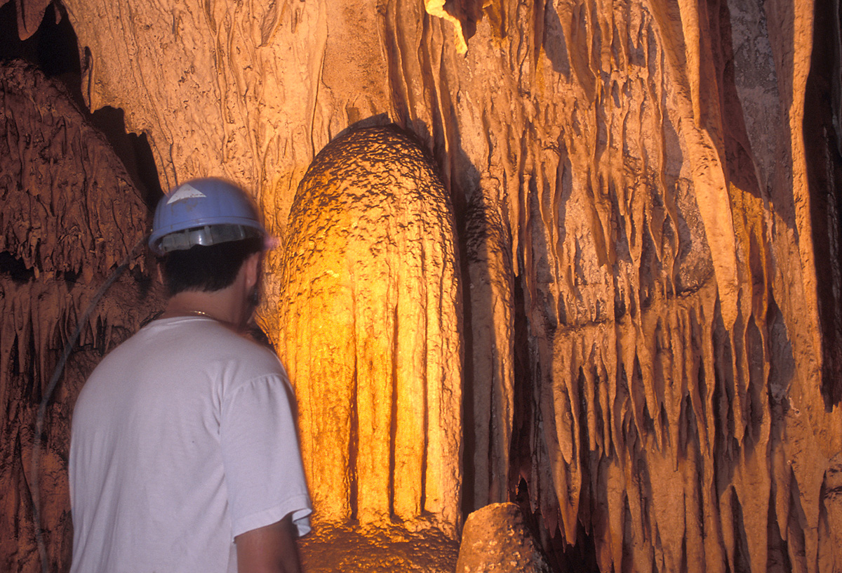 O Parque Estadual Turstico Alto Ribeira (Petar) tem mais de 300 cavernas<a style='float:right;color:#ccc' href='https://www3.al.sp.gov.br/repositorio/noticia/07-2008/Cavernas_Petar.Rob (2).jpg' target=_blank><i class='bi bi-zoom-in'></i> Clique para ver a imagem </a>